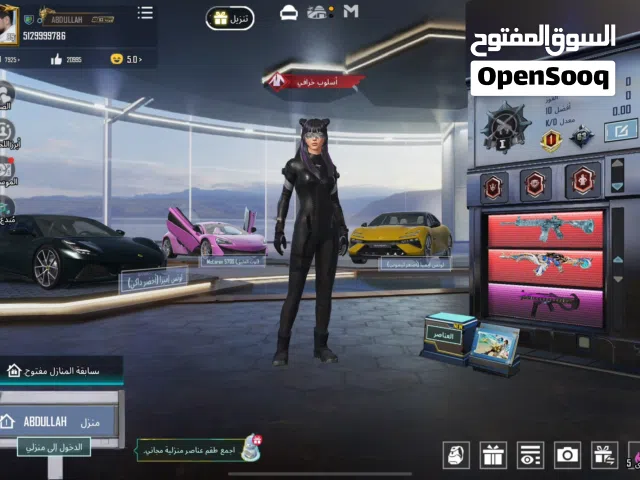 Pubg Accounts and Characters for Sale in Southern Governorate