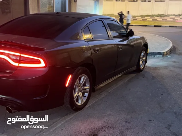 سياره دوج تشاجر. اللون رمادي