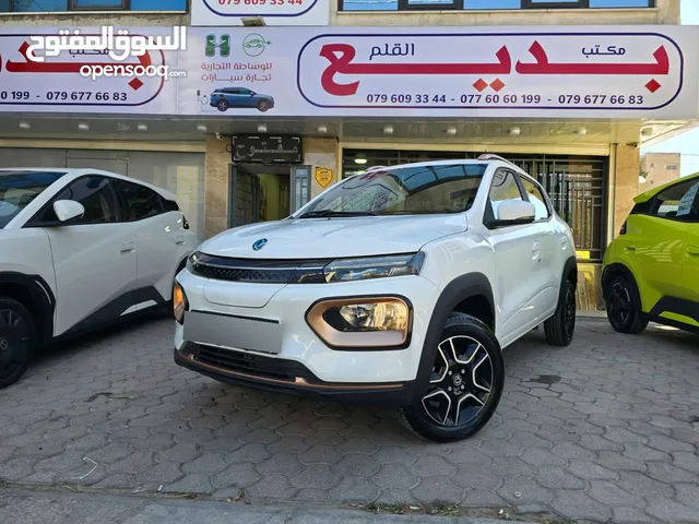 New Dongfeng Nammi Box in Amman