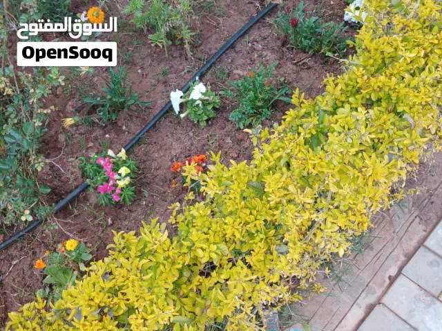مبنى 3 طوابق سكني وتجاري للبيع