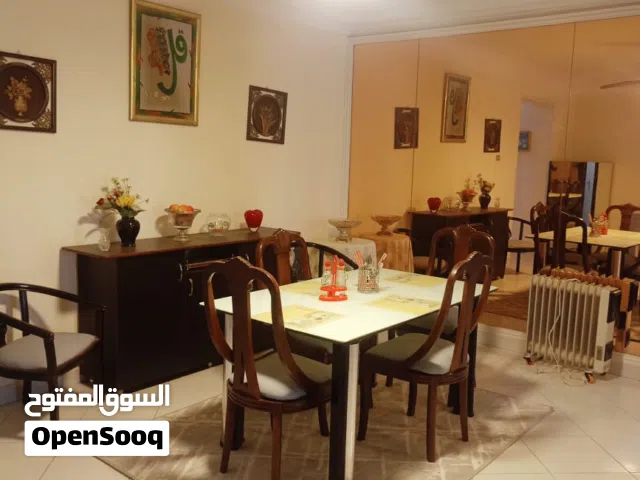 fully furnished apartment in new maadi