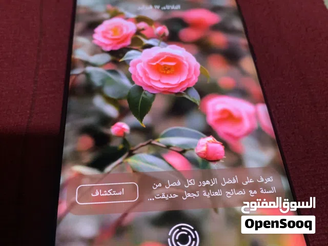 تكنو سبارك 20 برو بلس