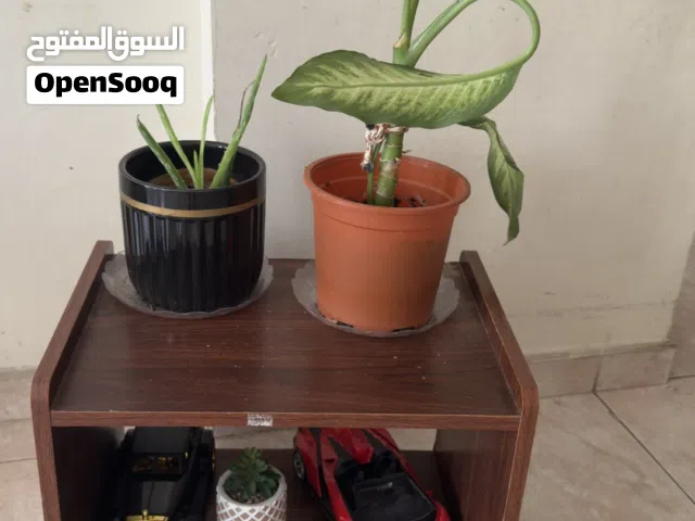 Useful small tables for home