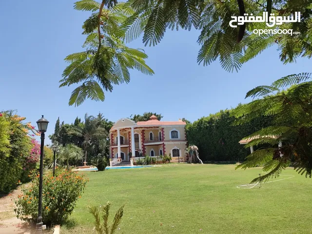 170m2 More than 6 bedrooms Villa for Rent in Alexandria Borg al-Arab