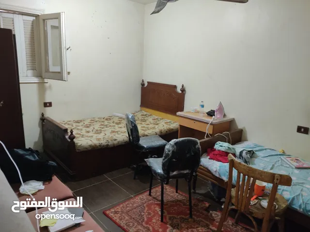 60 m2 2 Bedrooms Apartments for Rent in Mansoura El Mansoura University