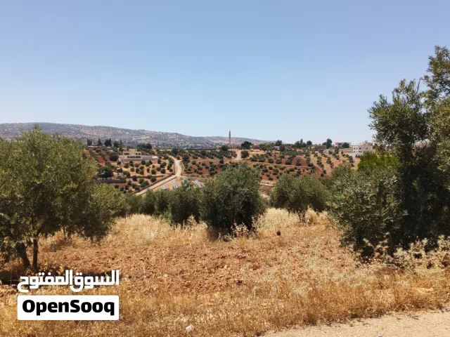 Farm Land for Sale in Salt Al Balqa'
