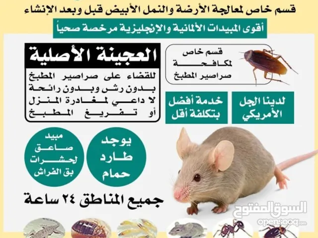 مكافحة جميع الحشرات والقوارض