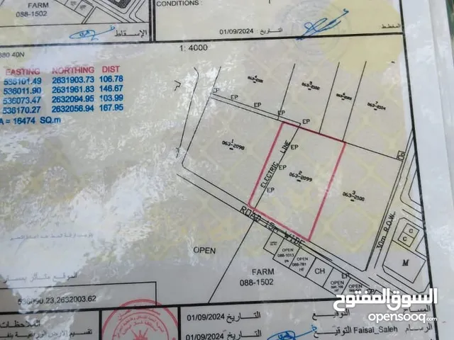 مزرعة في منطقة الشاطر بولاية السويق