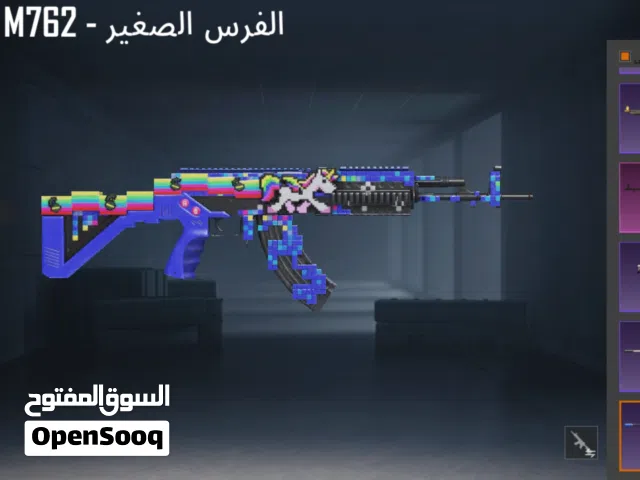 Pubg Accounts and Characters for Sale in Zarqa