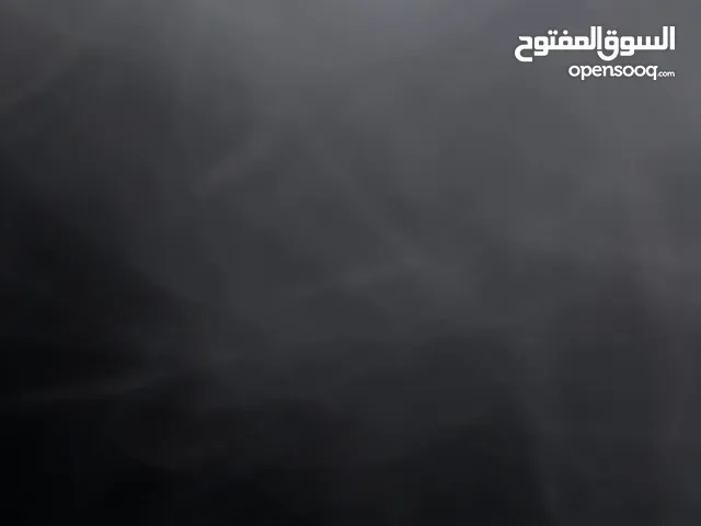 مطلووب قط ذكر فقط