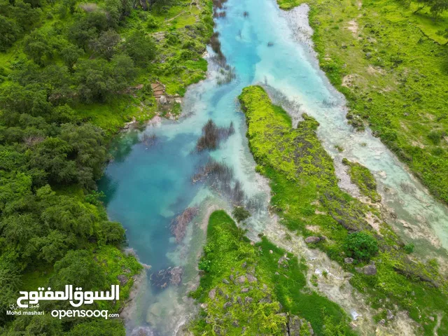 مرشد سياحي في سلطنة عمان بسياره خاصه
