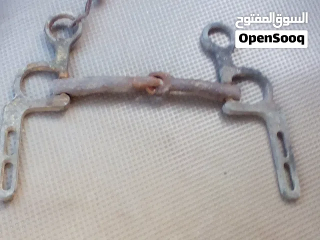 صريمة خيل تراثيه