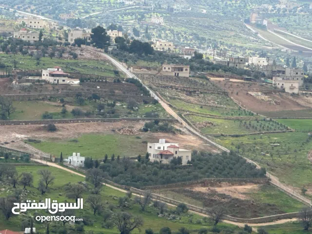 4 Bedrooms Farms for Sale in Zarqa Al-Kamsha