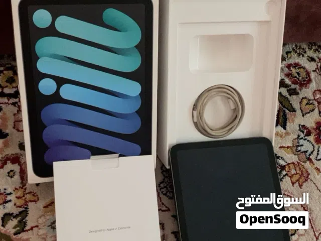 iPad mini 6