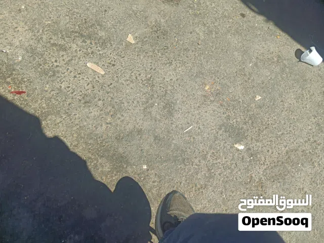 بلاط مسابح
