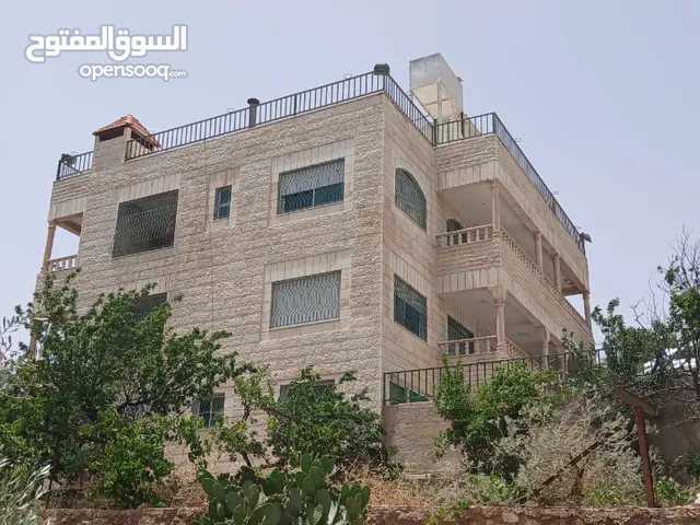 ارض زراعية خصبه مع فيلة ثلاث طوابق مع توابعها