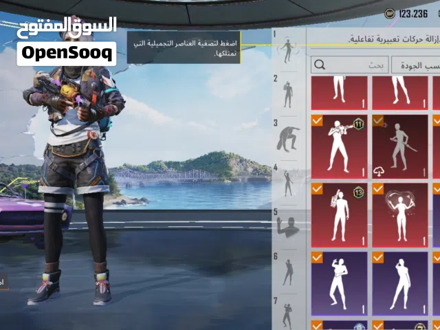 Pubg Accounts and Characters for Sale in Mafraq