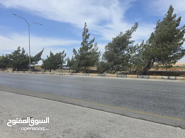 Commercial Land for Sale in Irbid Al Huson Street
