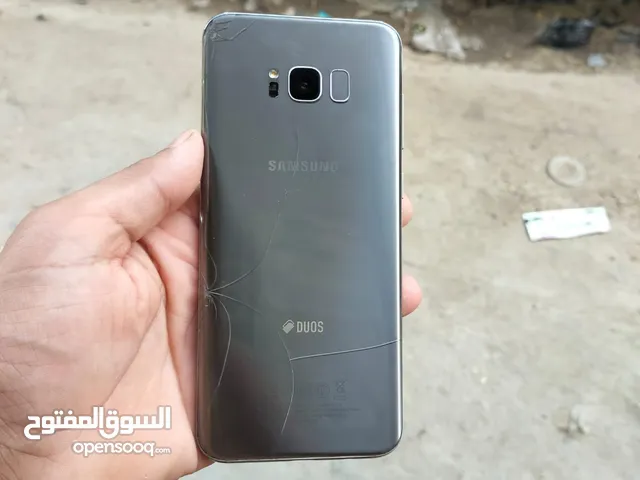 Samsung Galaxy S8 64 GB in Ismailia
