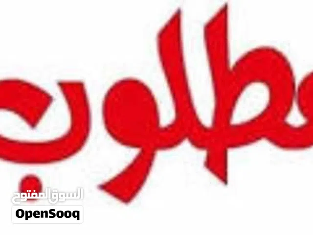 مطلوب جاج بلدي و ابو رقيبة بياض او فرخات