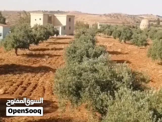 Farm Land for Sale in Jerash Dahl