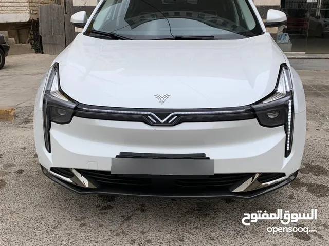 Used Neta U in Irbid