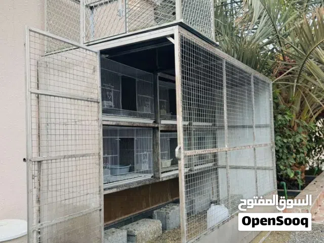 حمام وقفص للبيع الوصف مهم جداً