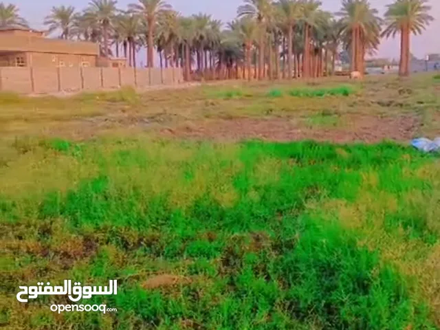 Residential Land for Sale in Baghdad Hor Rajab