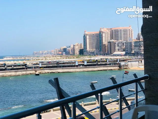 150 m2 3 Bedrooms Apartments for Rent in Alexandria Glim