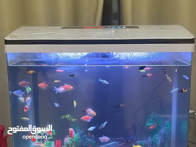 حوض سمك للبيع