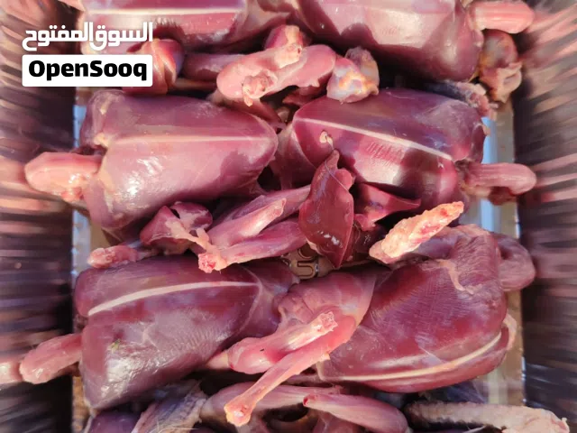 للبيع حمام مذبوح ((طازج)) يتم ذبح الحمام بعد الطلب