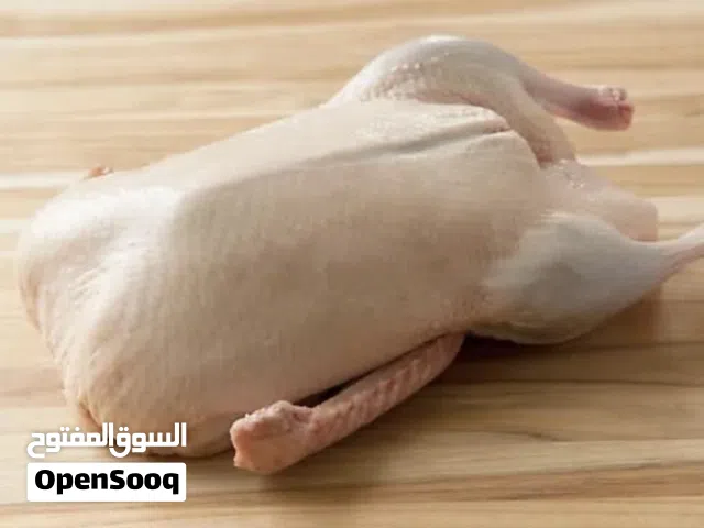 بط مصرى ممتاذ