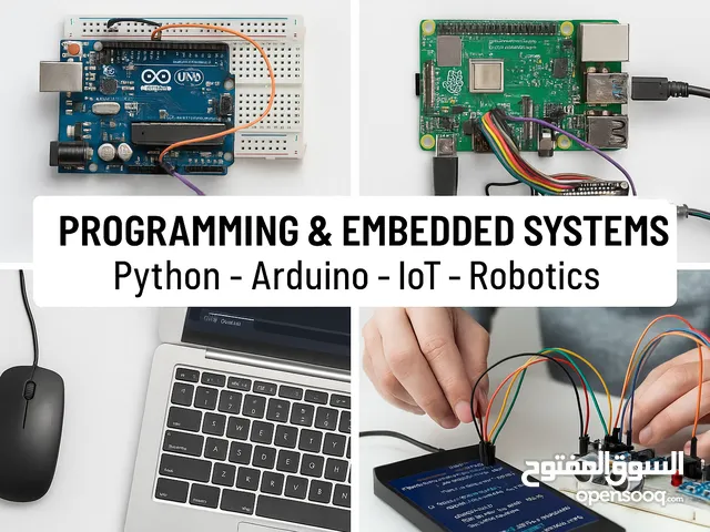 مدرس برمجة وأنظمة ذكية – Python / Arduino / IoT / Robotics