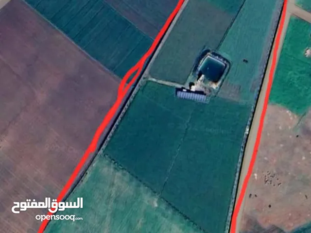 Farm Land for Sale in El Jadida Other