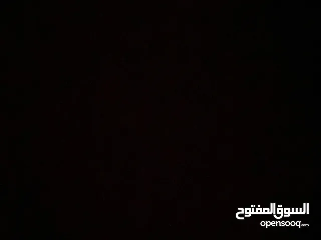 رولا مشاقي