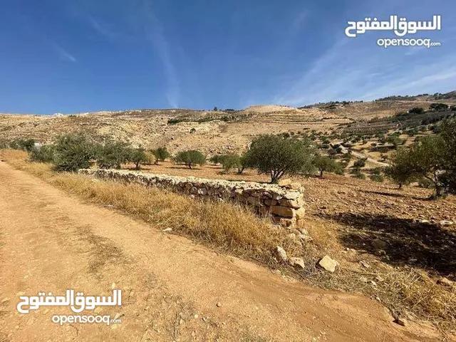 Farm Land for Sale in Salt Al Maghareeb
