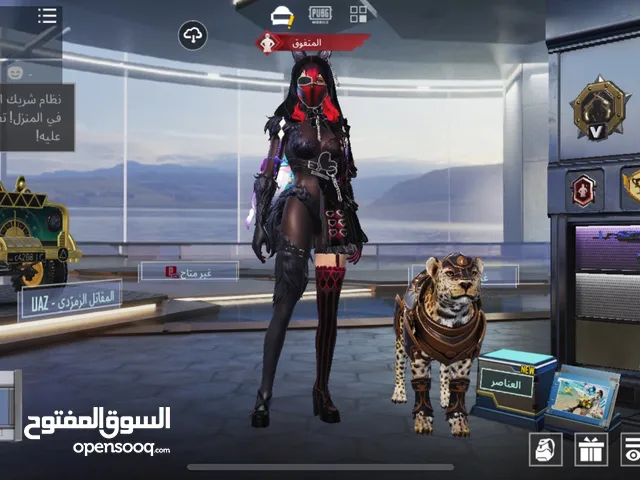 Pubg Accounts and Characters for Sale in Ramtha