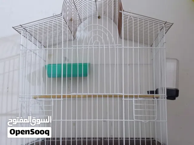 طيور.  قفص بلبل  جديد. نضيف كلش