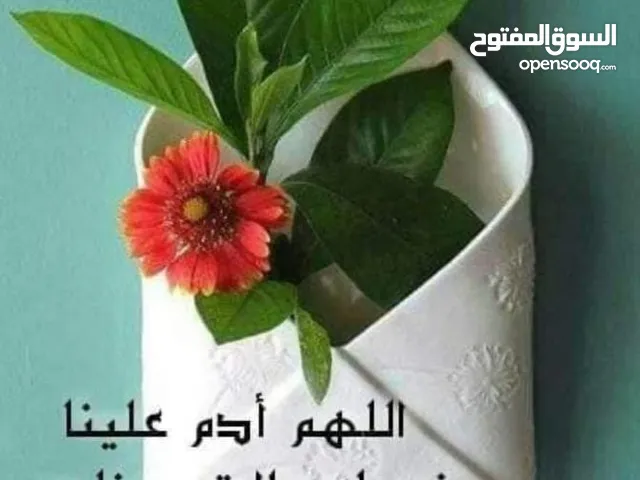 عآلمـ آلتج ـآرة