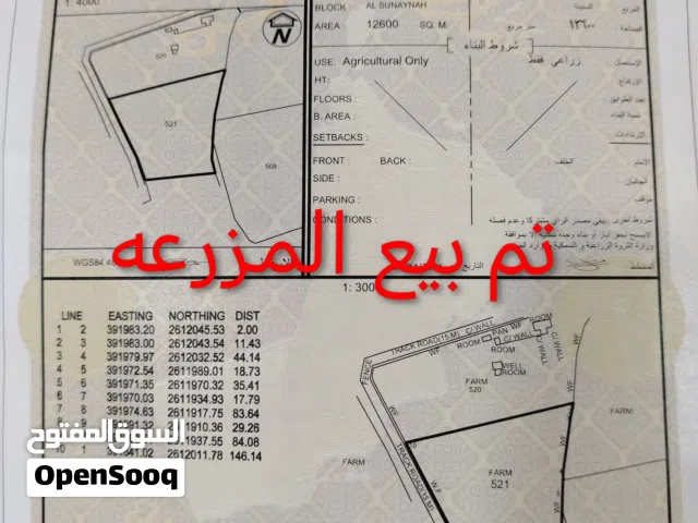 Farm Land for Sale in Buraimi Al Sinainah