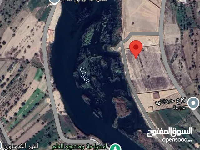 دونم على نهر الفرات