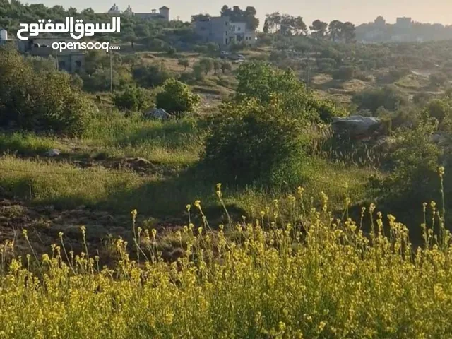 Residential Land for Sale in Ramallah and Al-Bireh Kafr Ni'ma