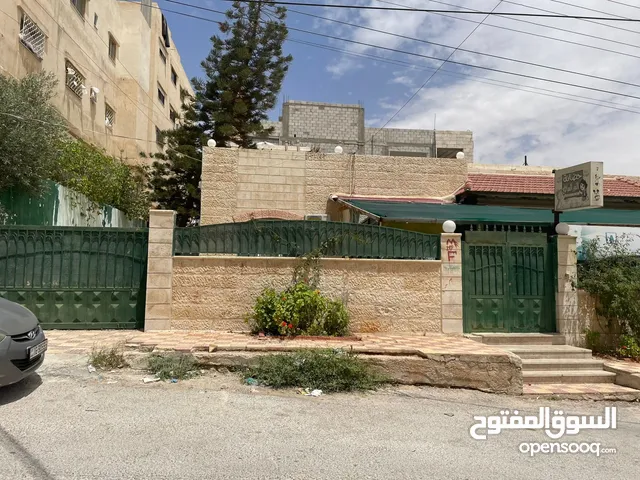 بيت مستقل للايجار لمشروع روضة او حضانة ايجار سنوي