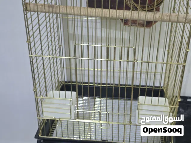 قفص عصافير بالحامل كامل للبيع