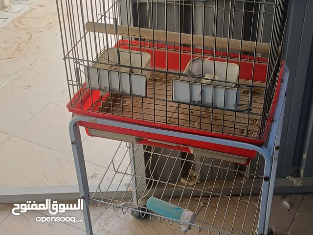 قفص طيور حديد