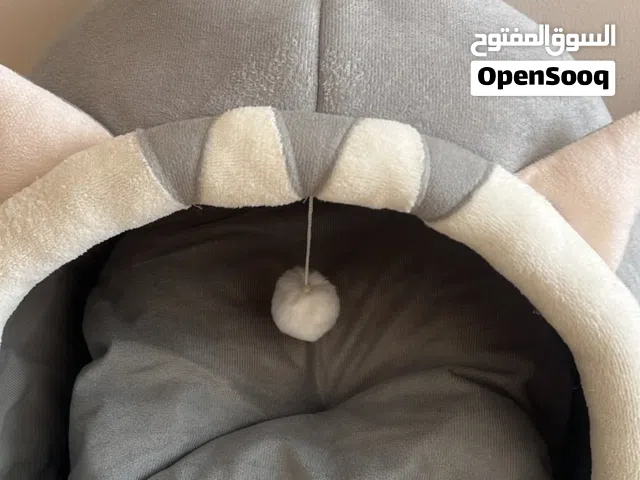 بيع بيوت قطط عق سعرك