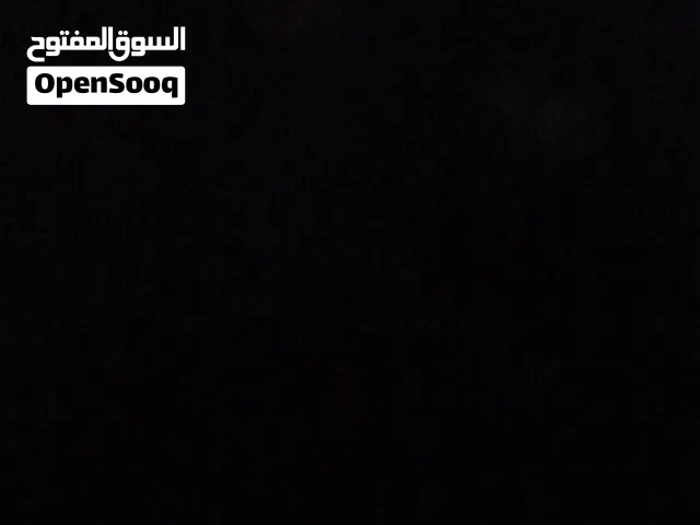 مطلوب طير كوكتيل يكون اليف