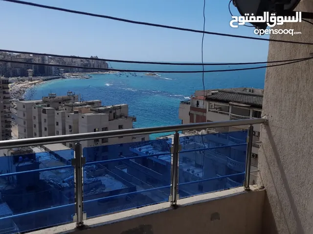 شقة فندقية مفروشه للايجار اليومى