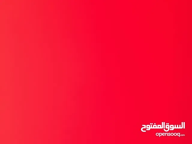 20 قط للتبني