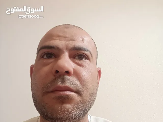 محمد احمد عبدالمنعم المهدلي